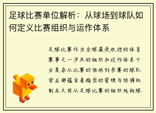 足球比赛单位解析：从球场到球队如何定义比赛组织与运作体系